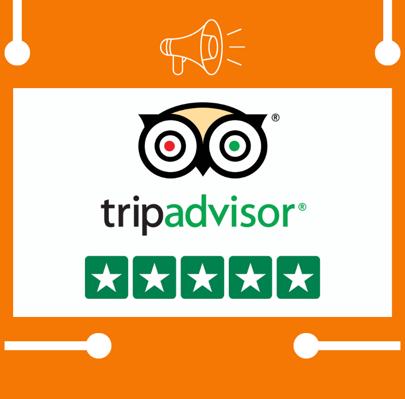 buy tripadvisor reviews